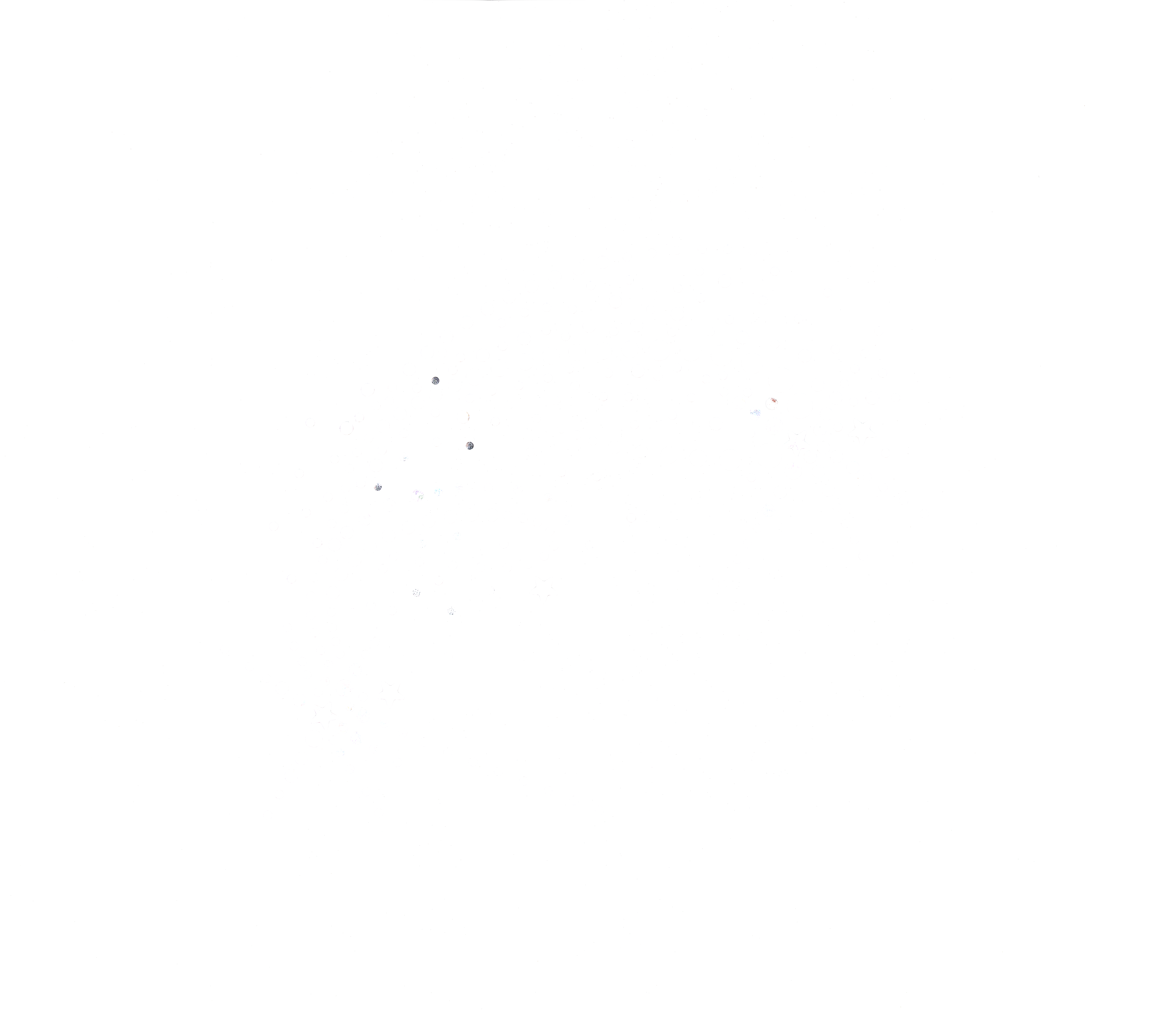 99_1649 paillettes cmjn copie.png